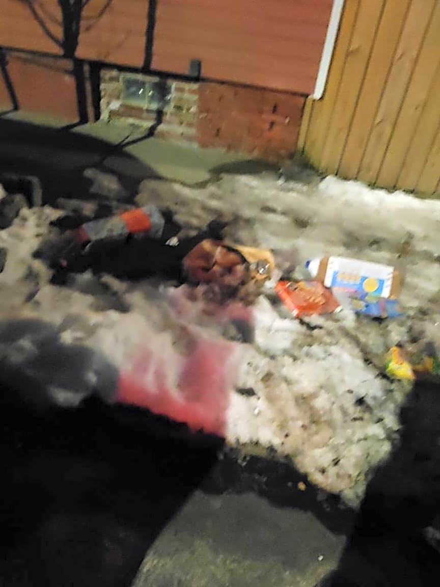 Image submitted with report