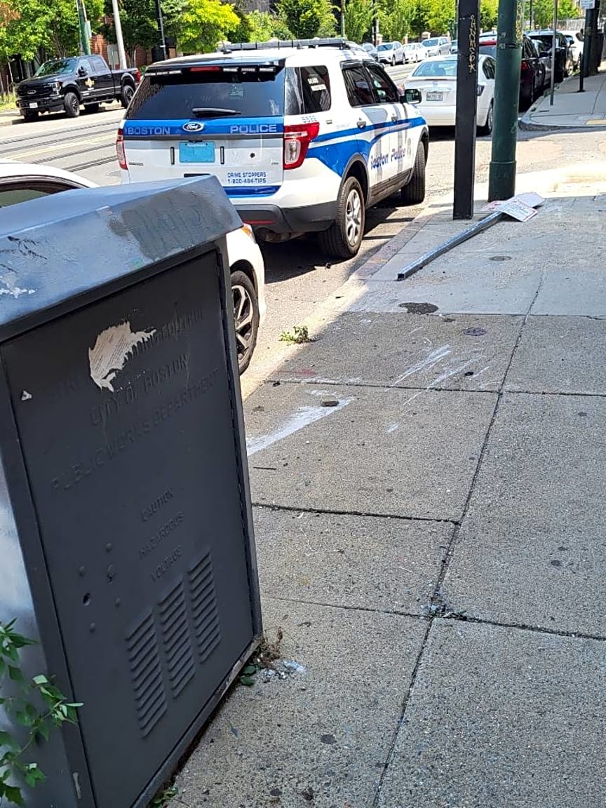 Image submitted with report