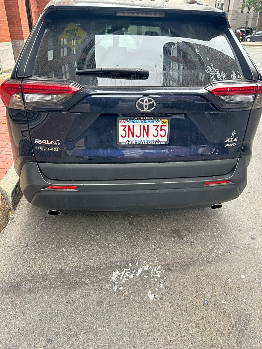 Image submitted with report