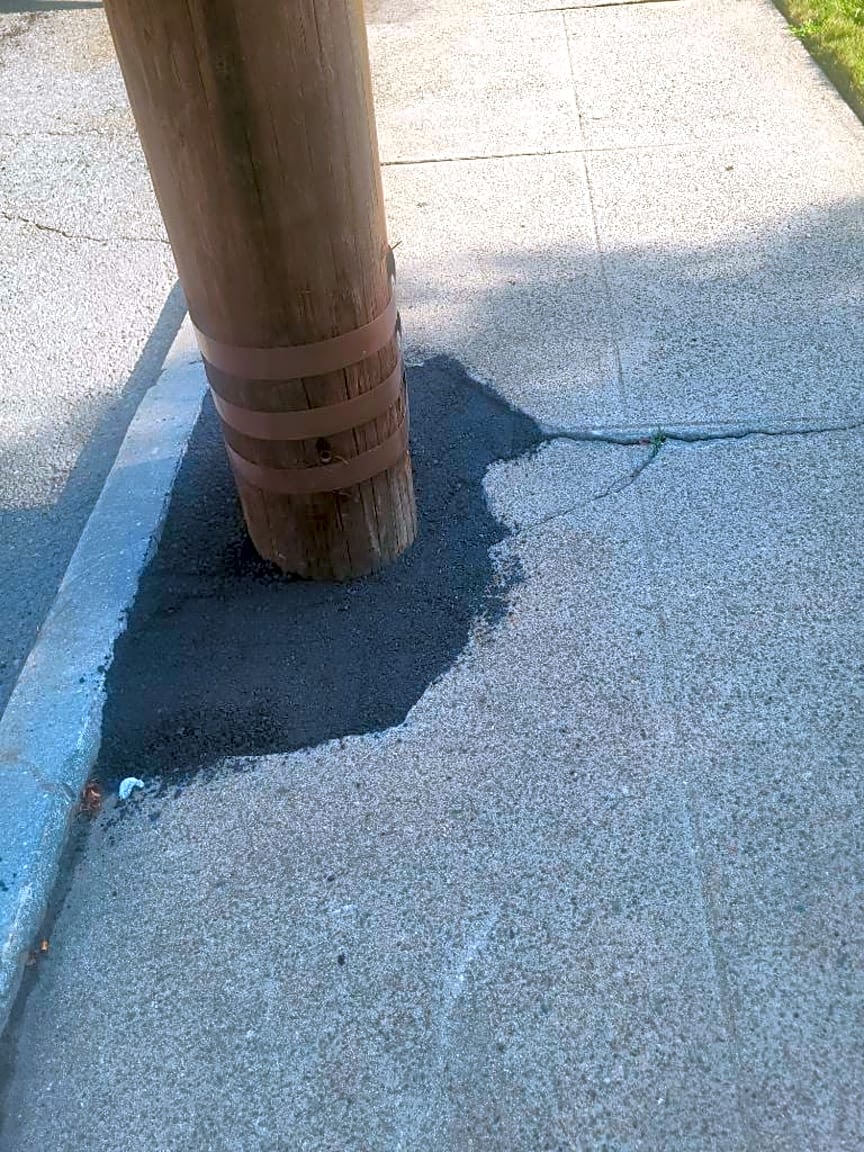 Image submitted with report