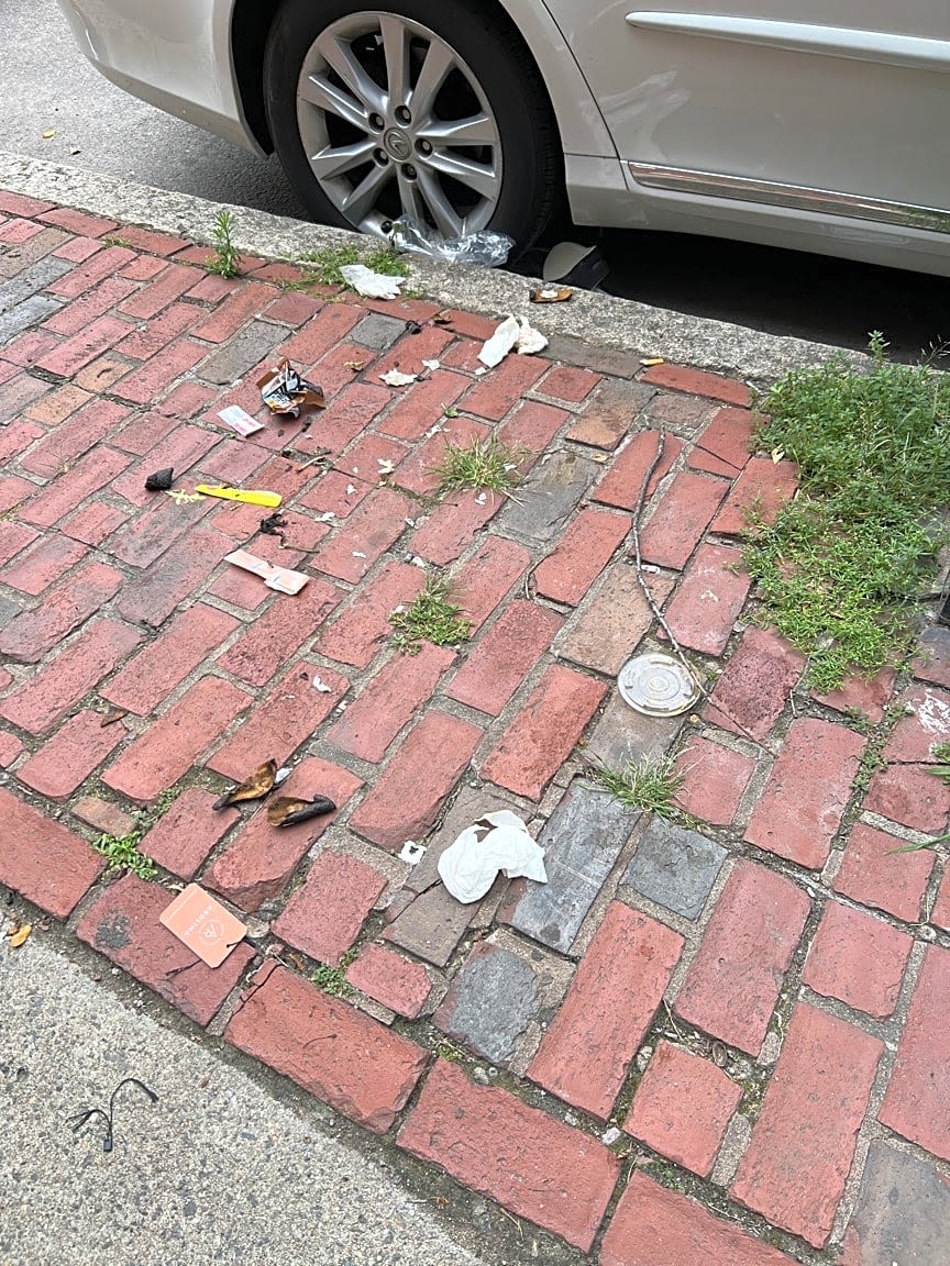 Image submitted with report