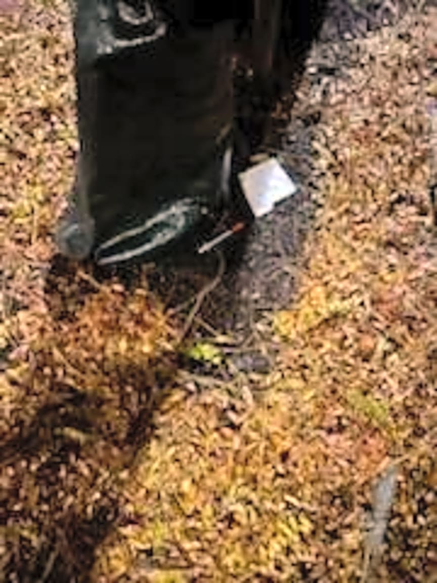 Image submitted with report