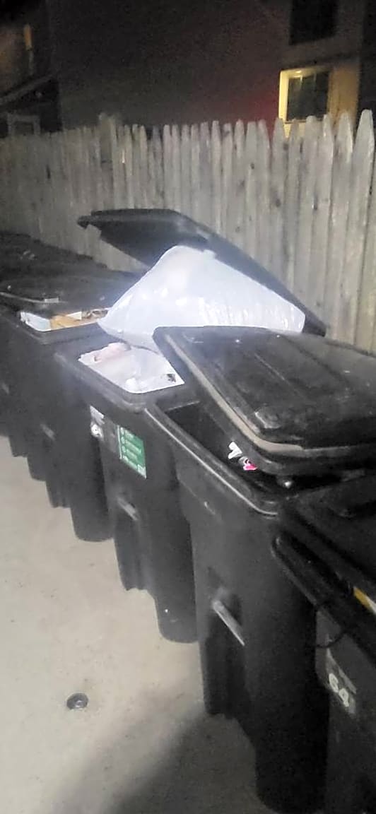 Image submitted with report