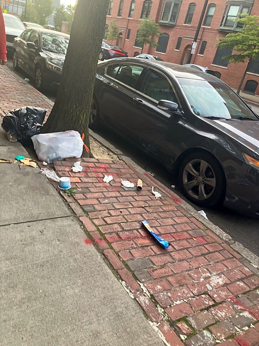 Image submitted with report