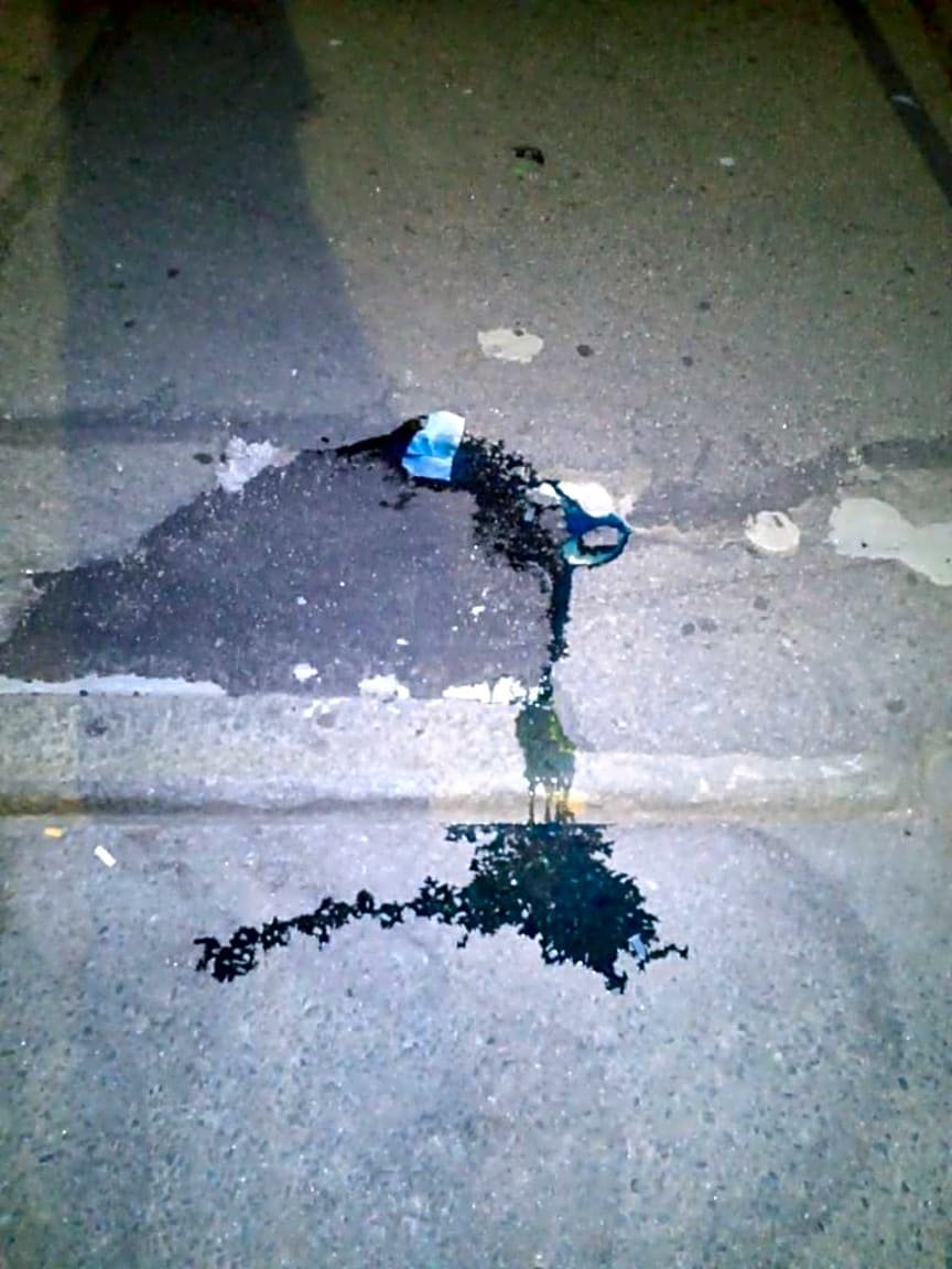 Image submitted with report