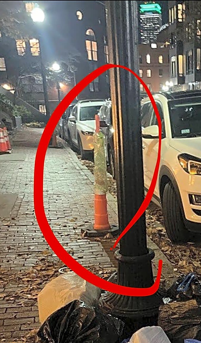 Image submitted with report