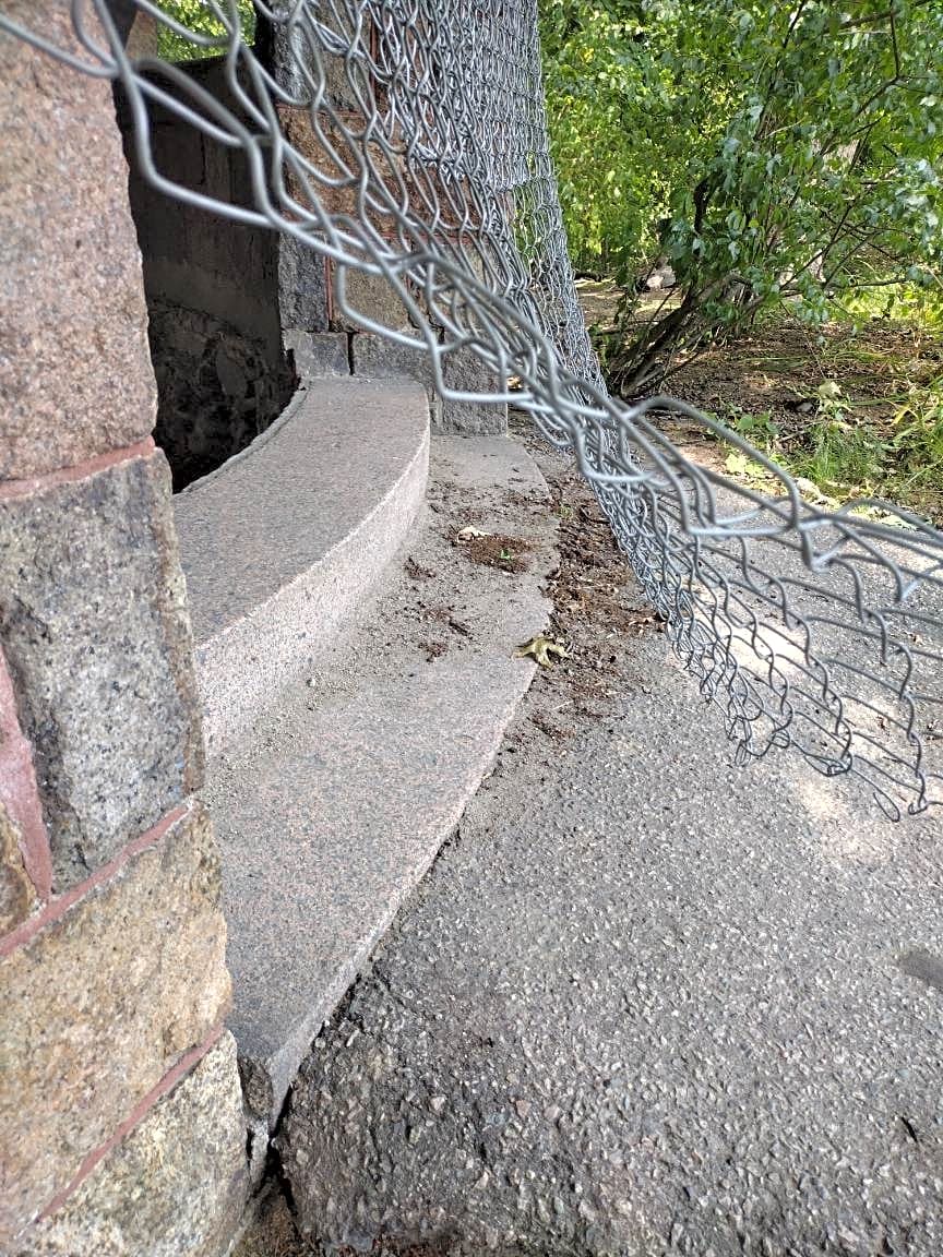 Image submitted with report