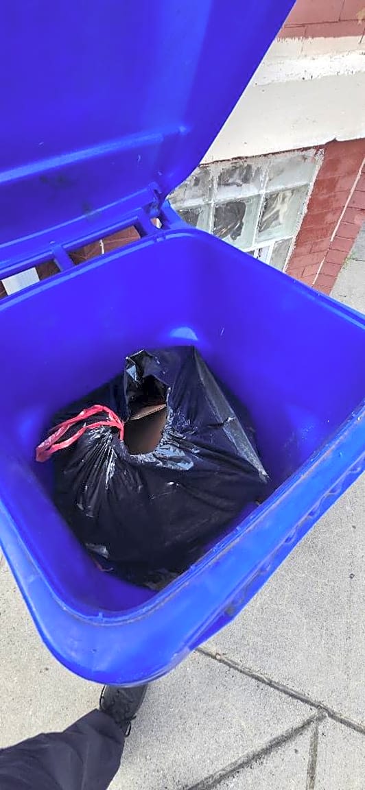 Image submitted with report