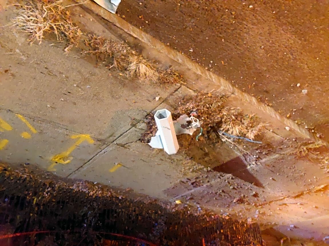 Image submitted with report