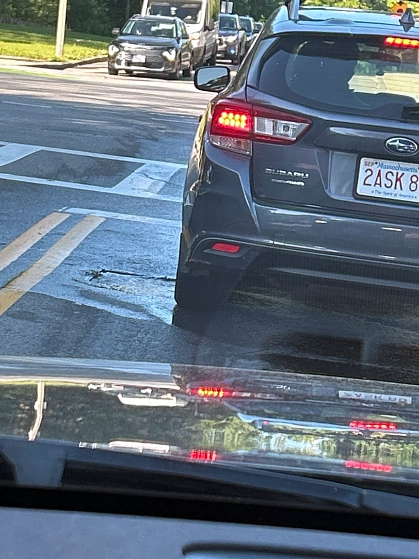 Image submitted with report
