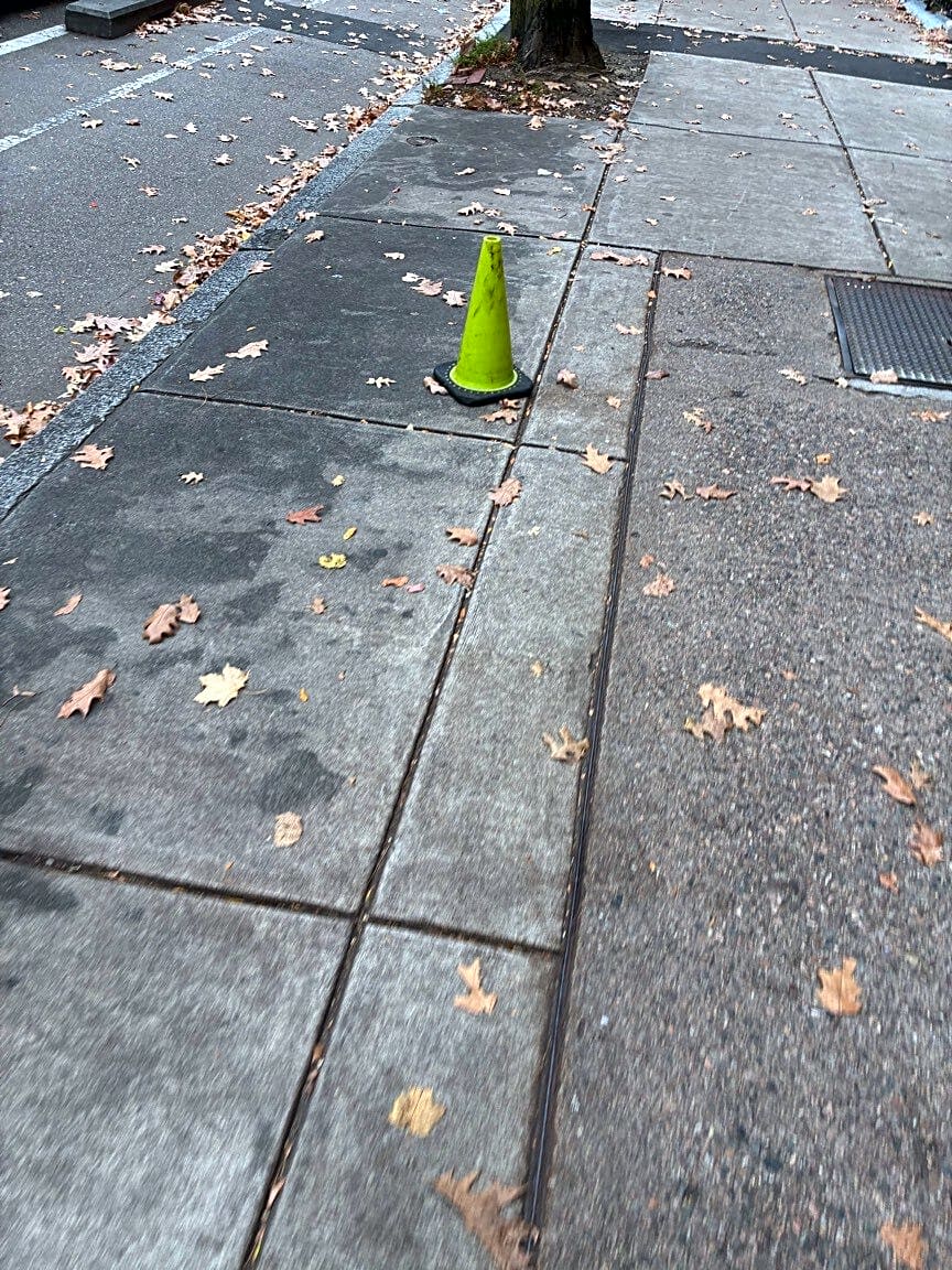 Image submitted with report