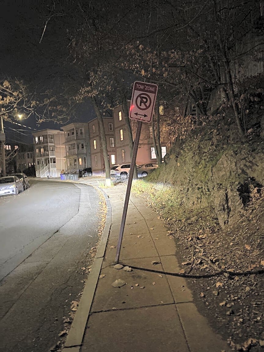 Image submitted with report