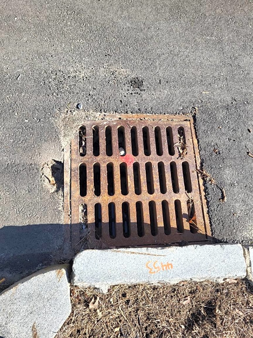 Image submitted with report
