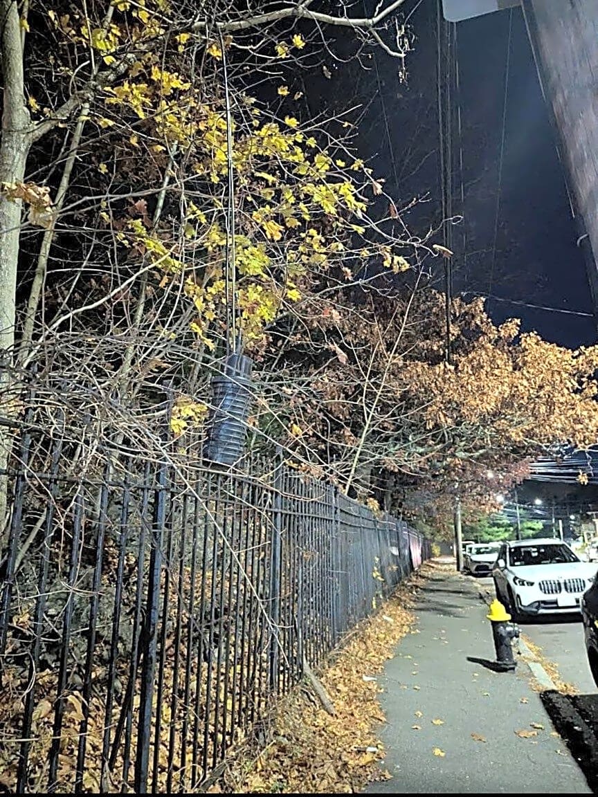 Image submitted with report