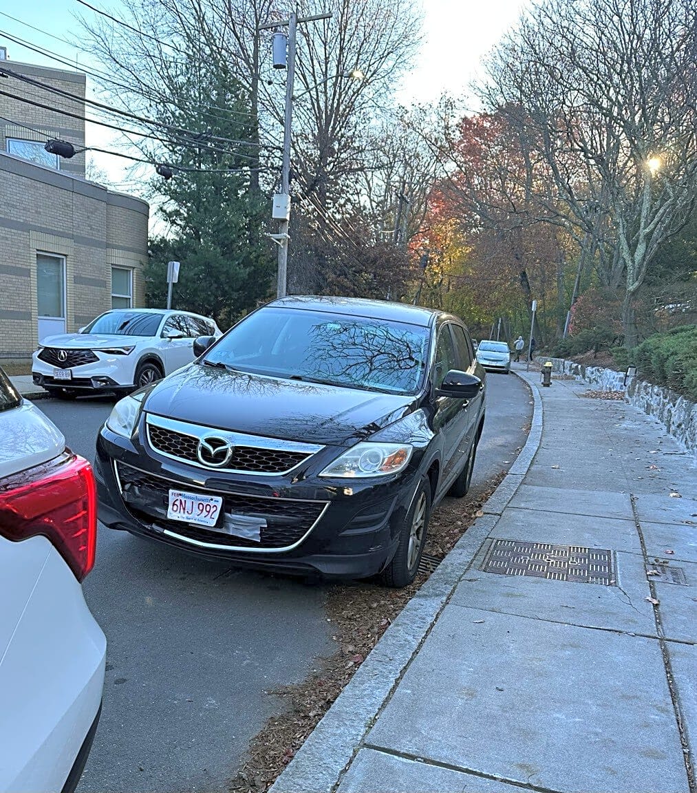 Image submitted with report