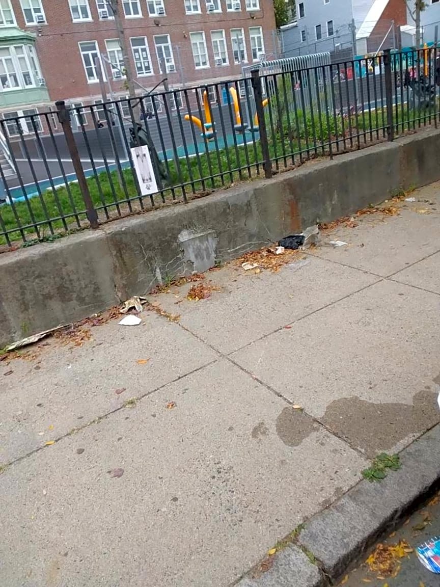 Image submitted with report