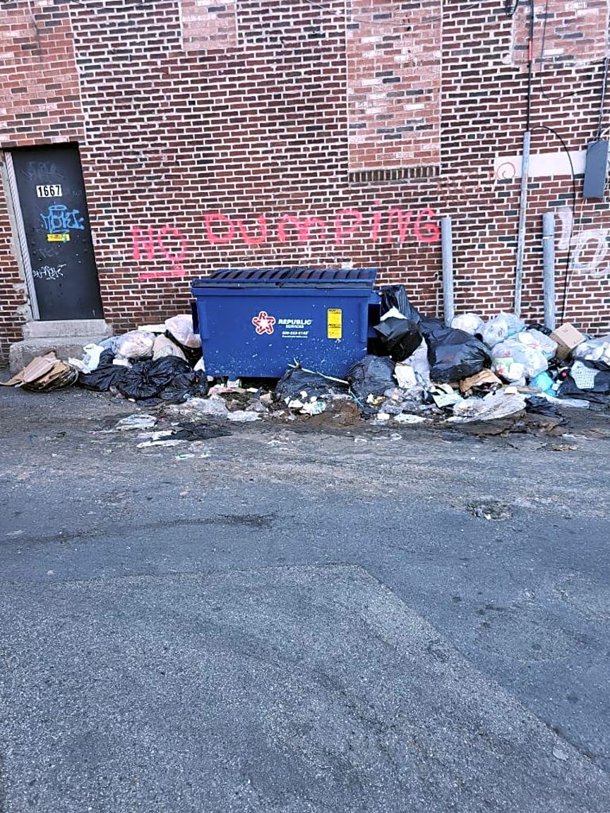 Image submitted with report