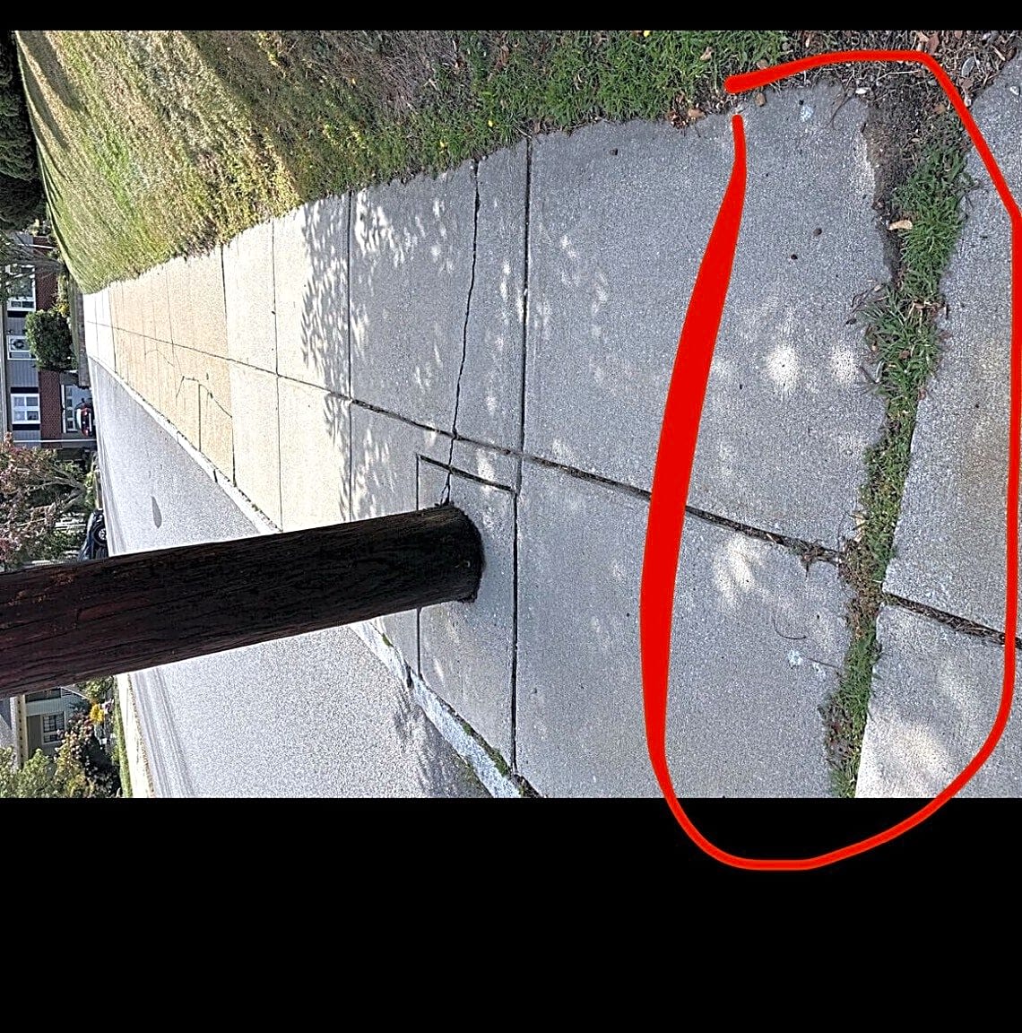 Image submitted with report