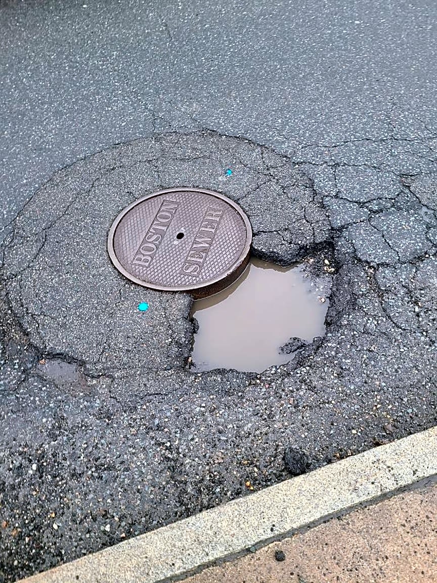 Image submitted with report