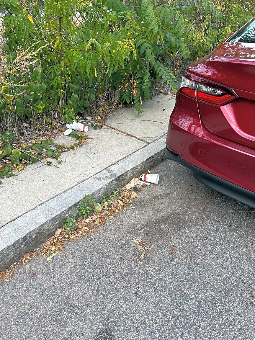 Image submitted with report
