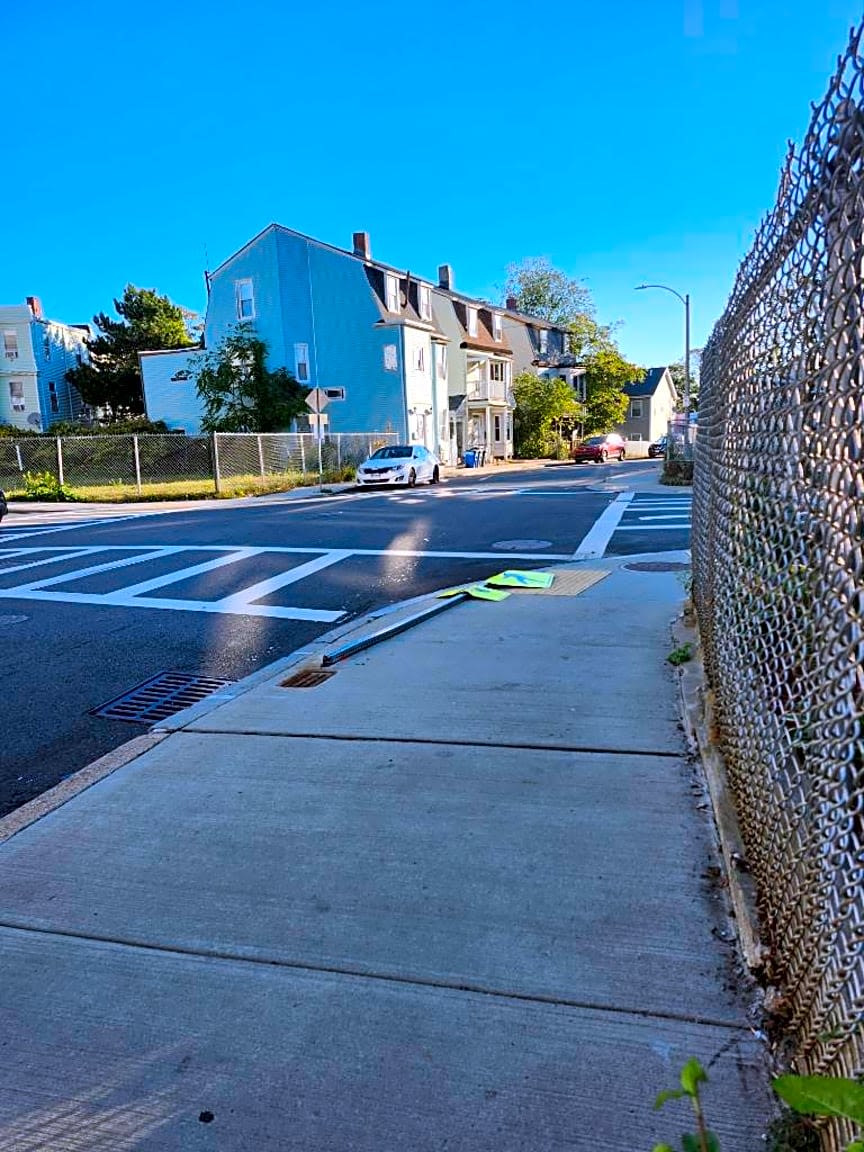 Image submitted with report