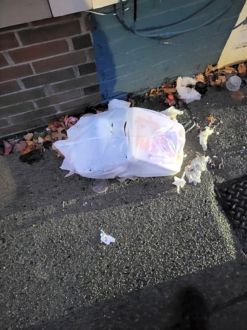 Image submitted with report