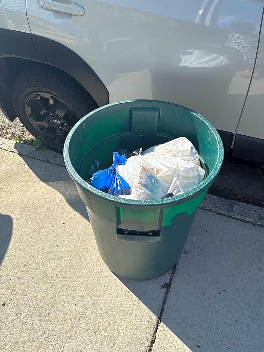 Image submitted with report