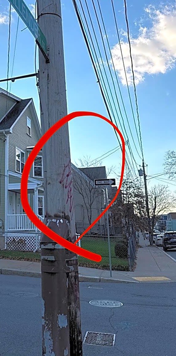 Image submitted with report