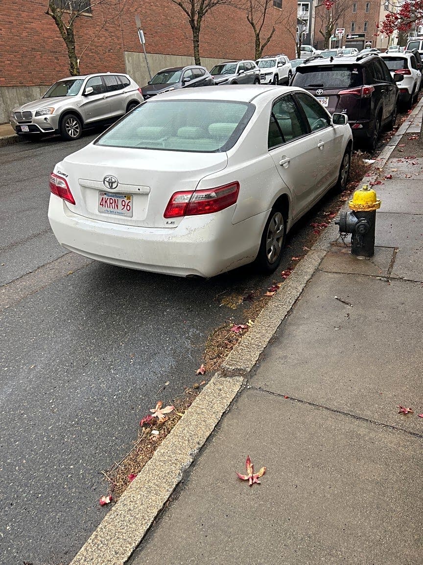 Image submitted with report