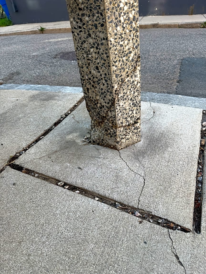 Image submitted with report