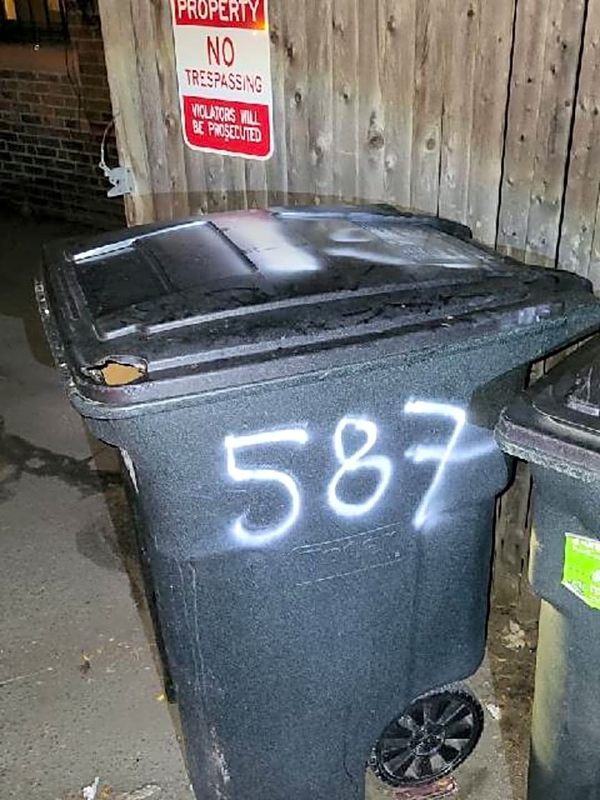 Image submitted with report