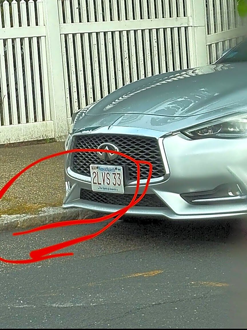 Image submitted with report