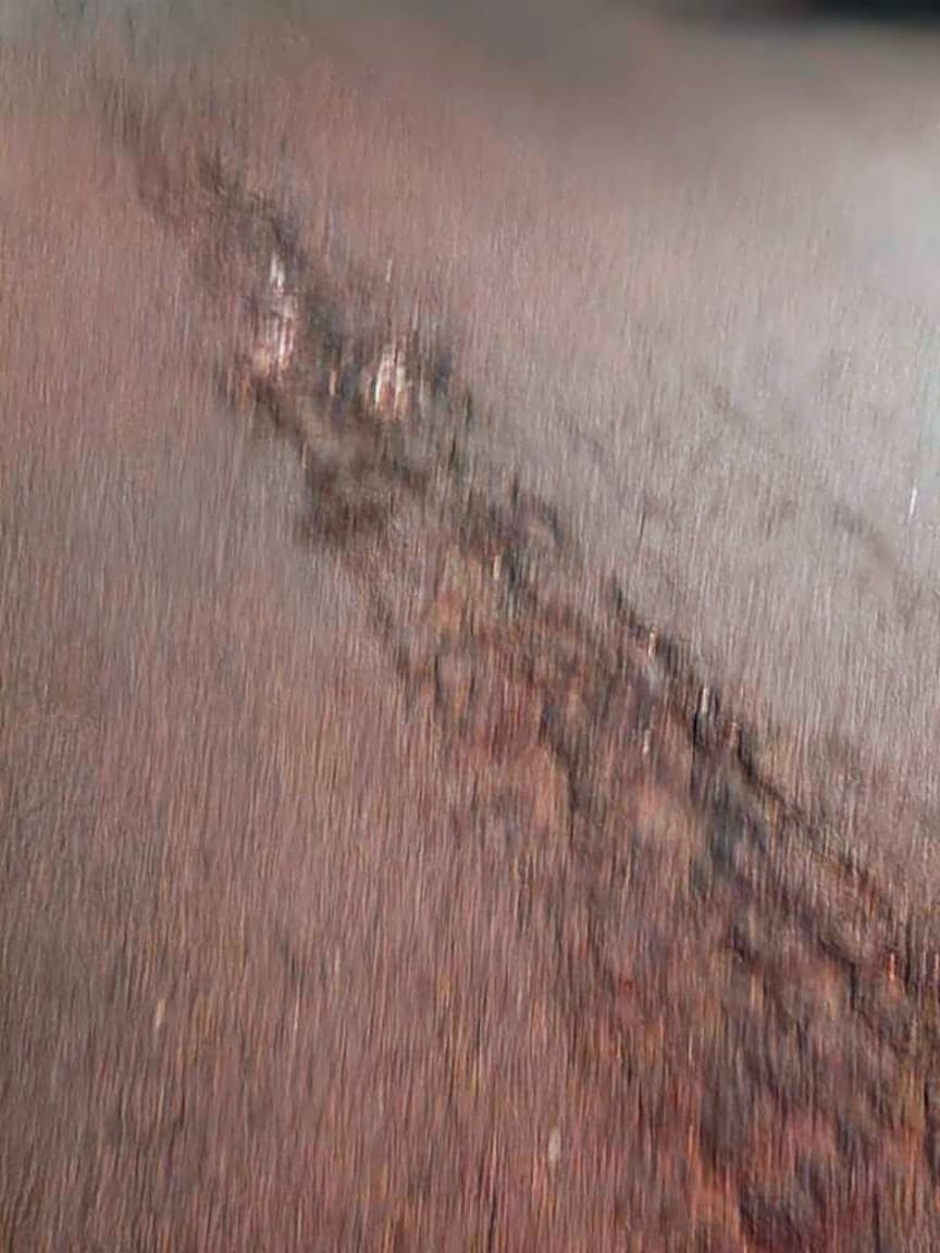 Image submitted with report