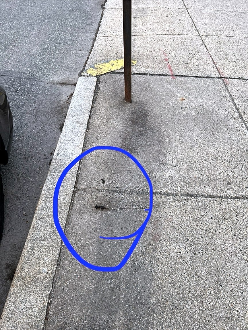 Image submitted with report