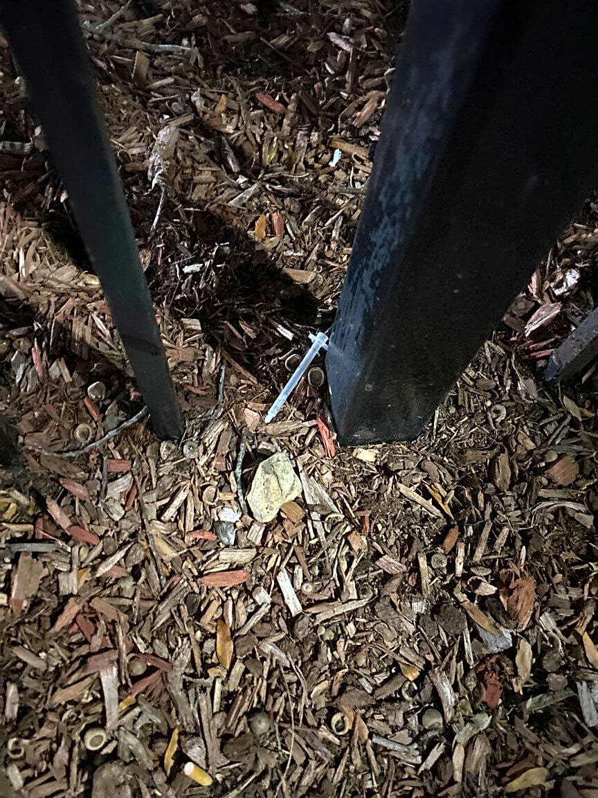 Image submitted with report