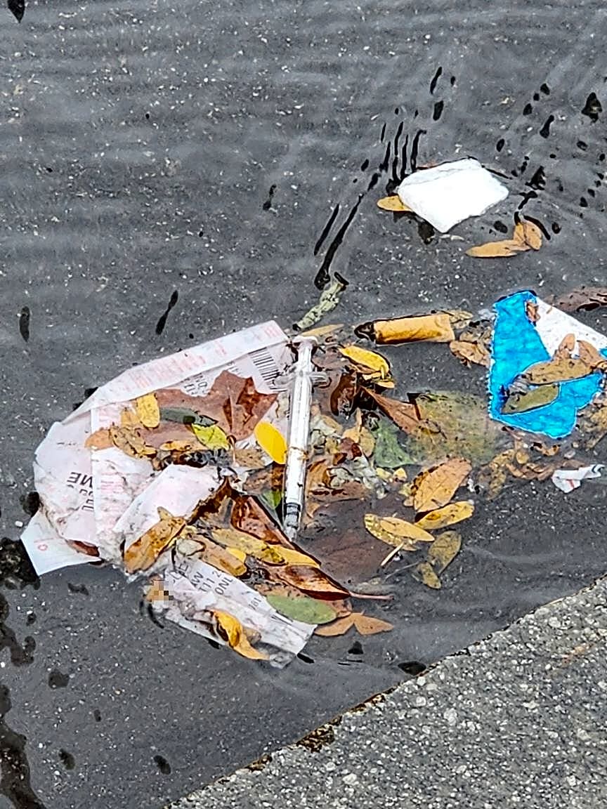 Image submitted with report
