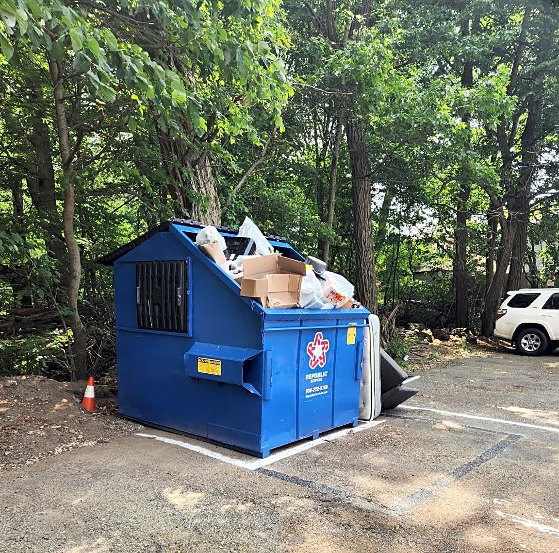Image submitted with report