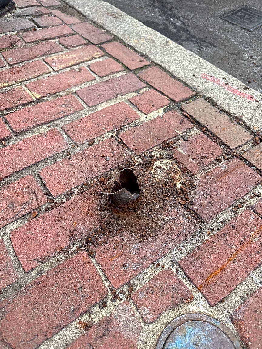 Image submitted with report