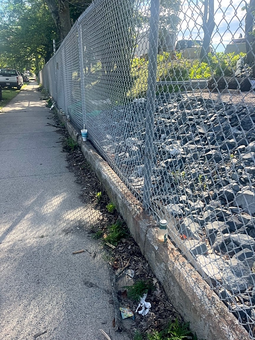 Image submitted with report