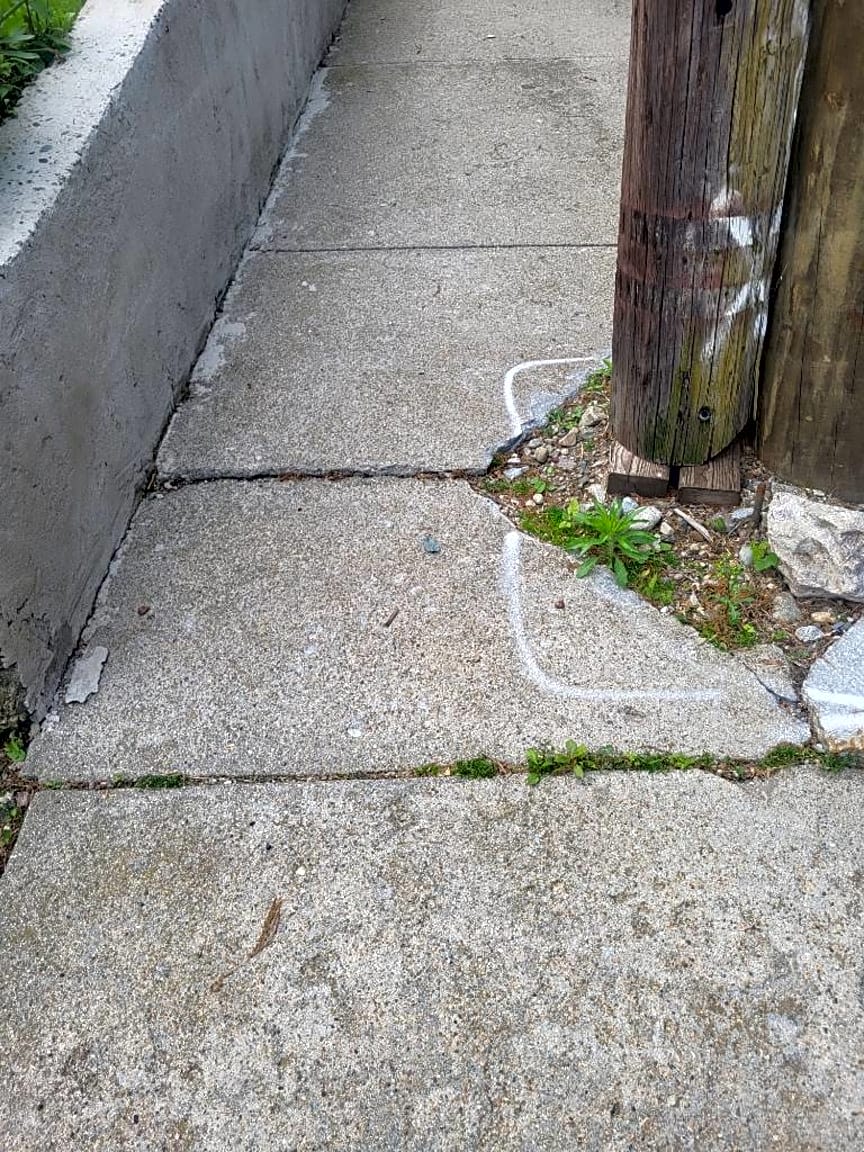 Image submitted with report