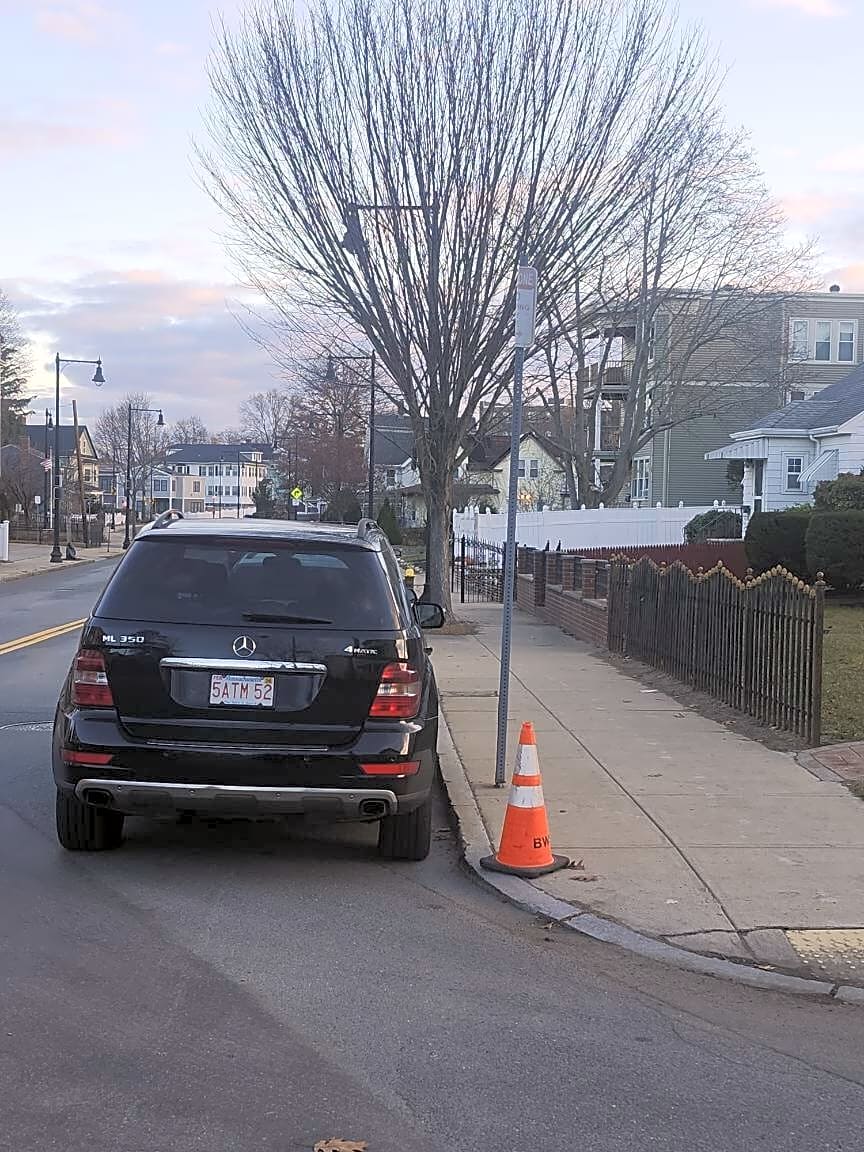 Image submitted with report