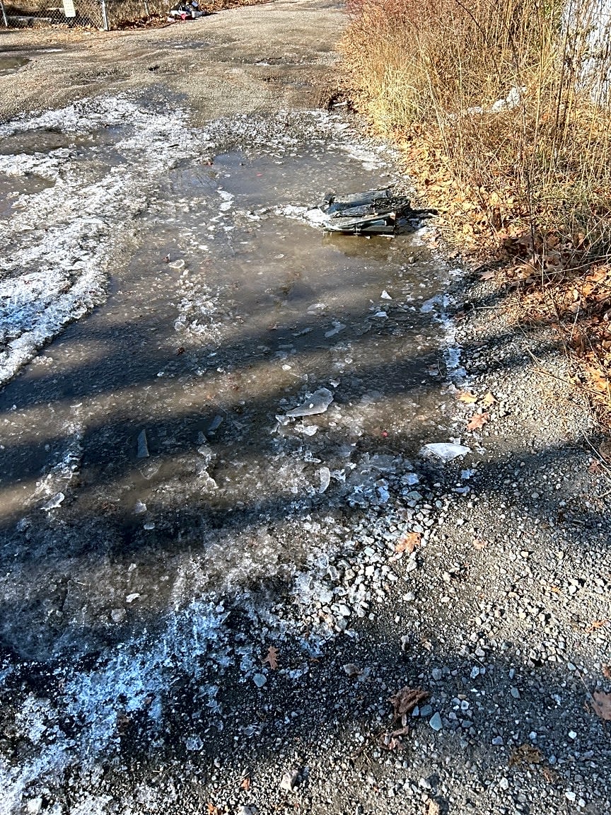 Image submitted with report