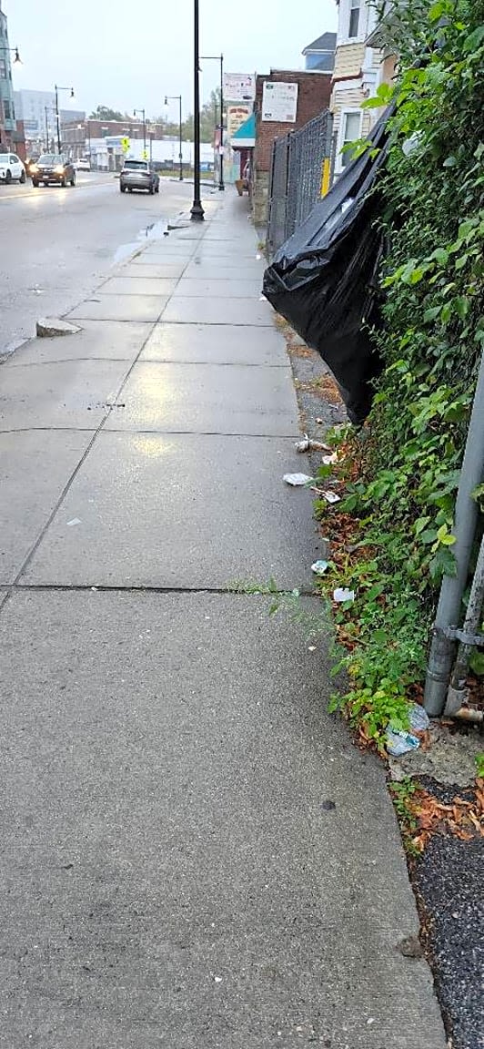 Image submitted with report