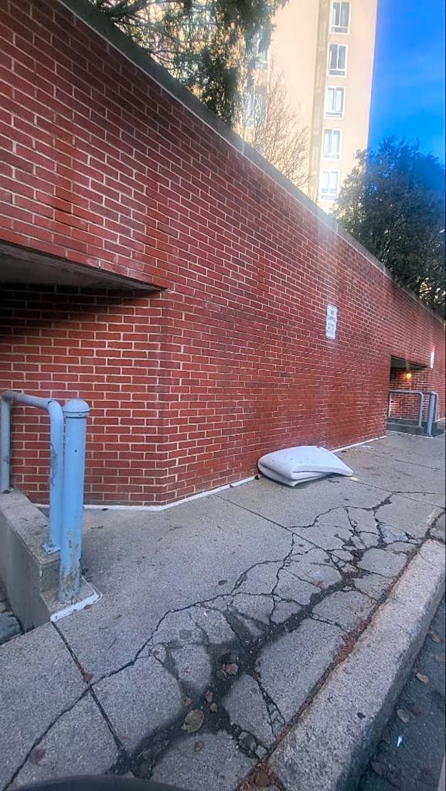 Image submitted with report