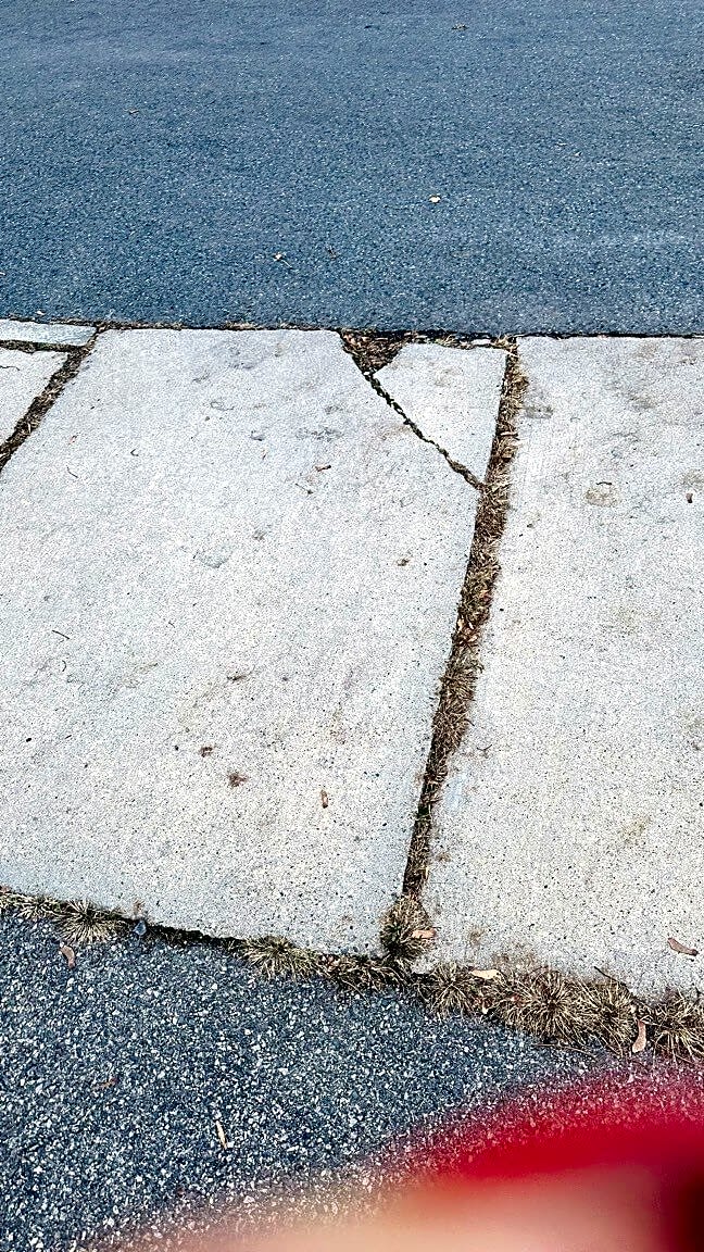 Image submitted with report