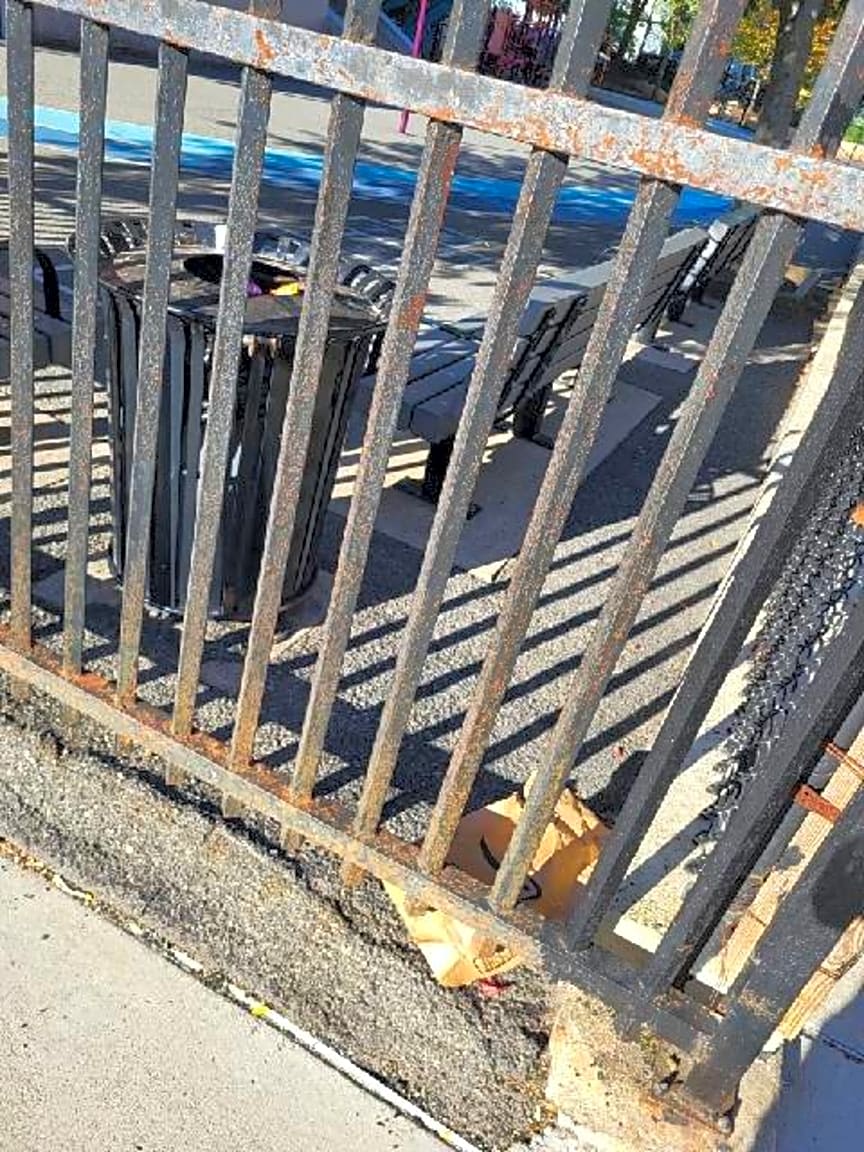 Image submitted with report