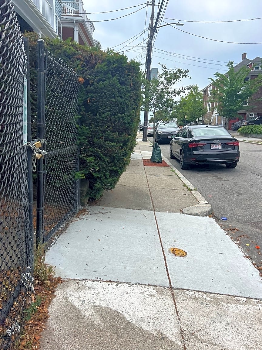 Image submitted with report