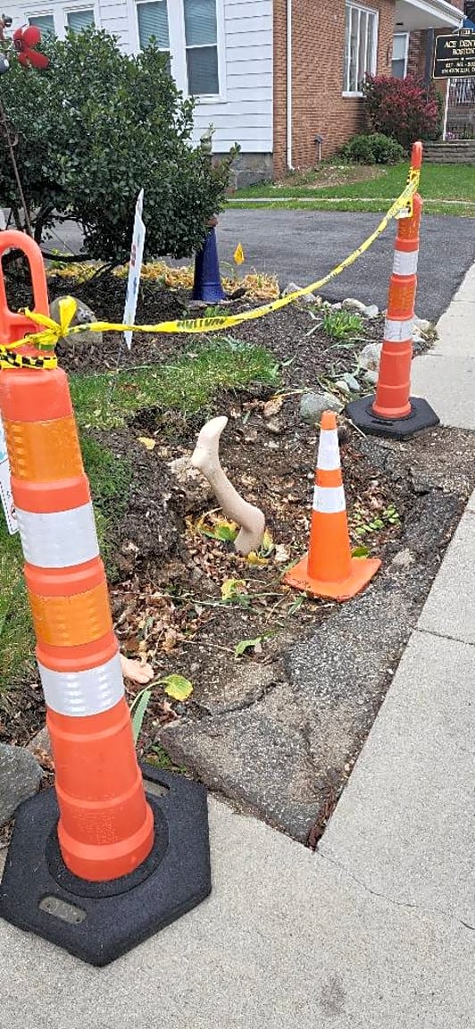 Image submitted with report