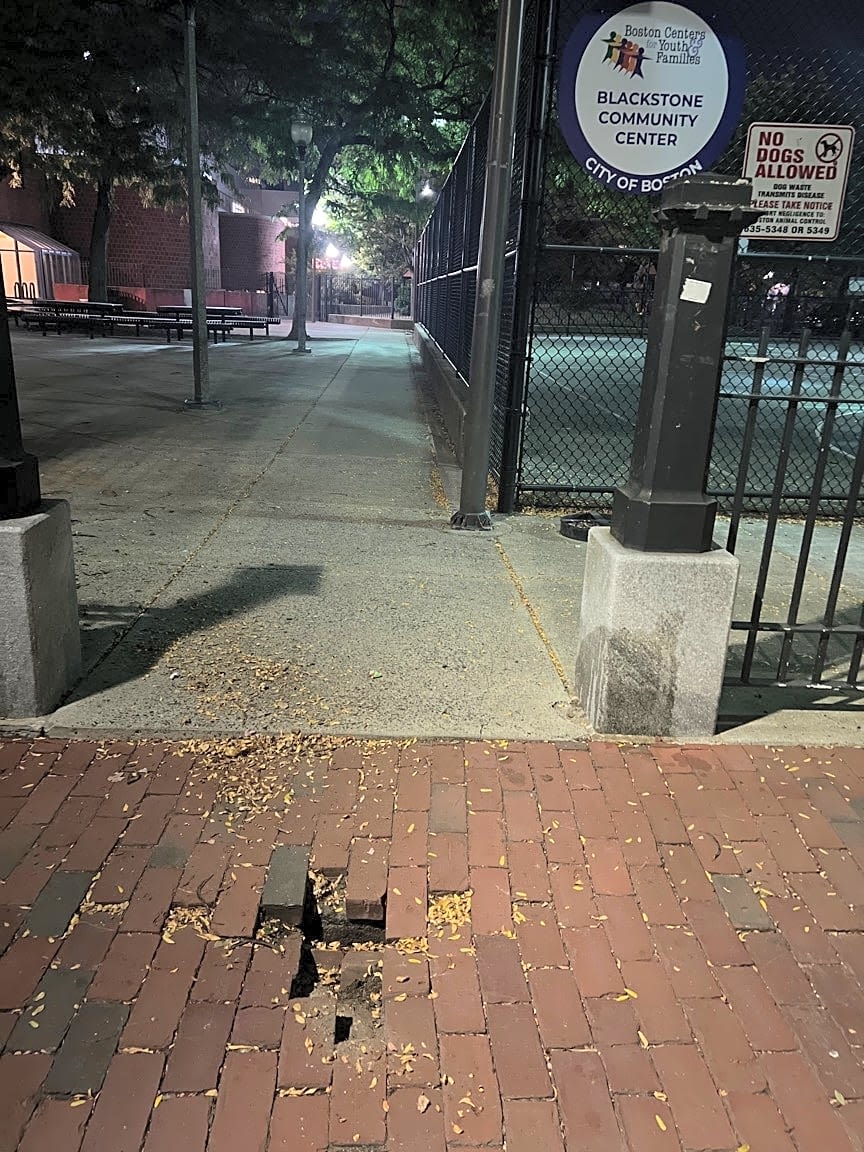 Image submitted with report