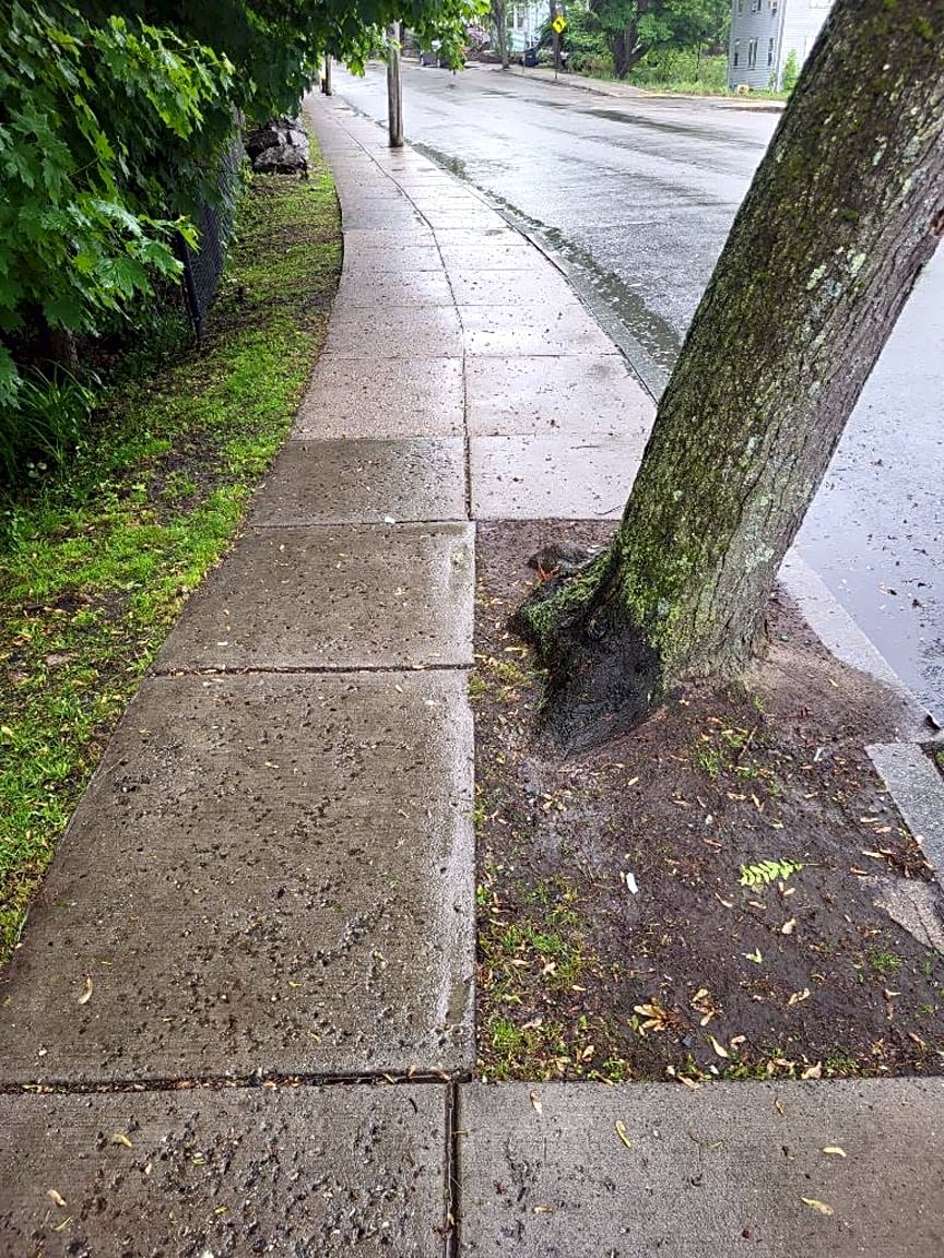 Image submitted with report